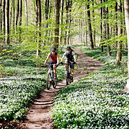 Vakantiehuis In Een Prachtige Bosrijke Omgeving In Twente! Bornerbroek المظهر الخارجي الصورة