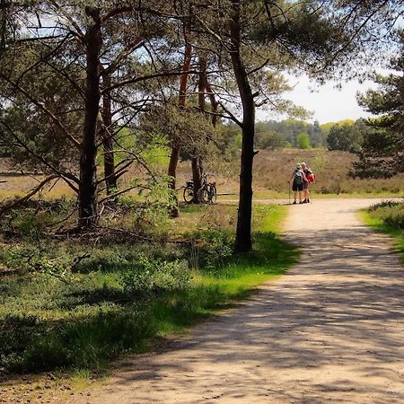 Vakantiehuis In Een Prachtige Bosrijke Omgeving In Twente! Bornerbroek المظهر الخارجي الصورة