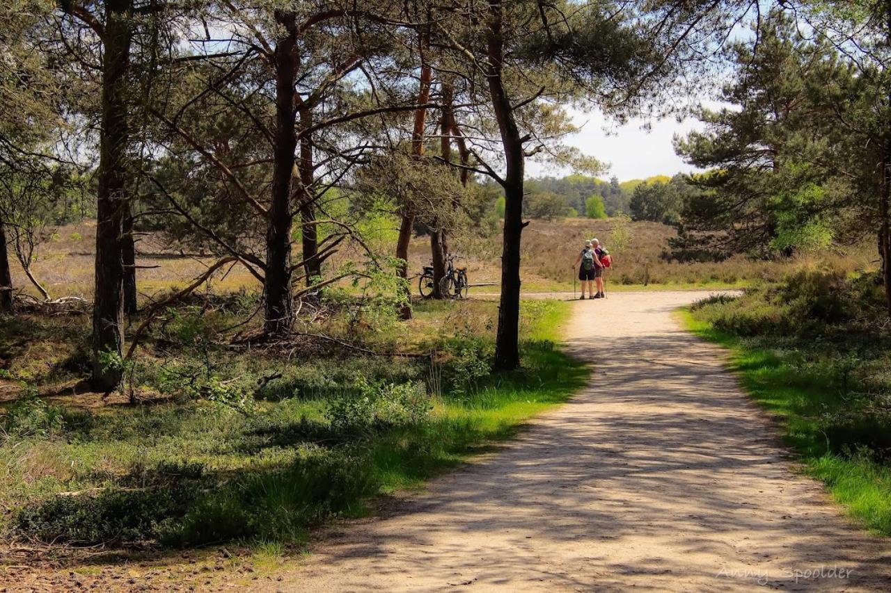 Vakantiehuis In Een Prachtige Bosrijke Omgeving In Twente! Bornerbroek المظهر الخارجي الصورة